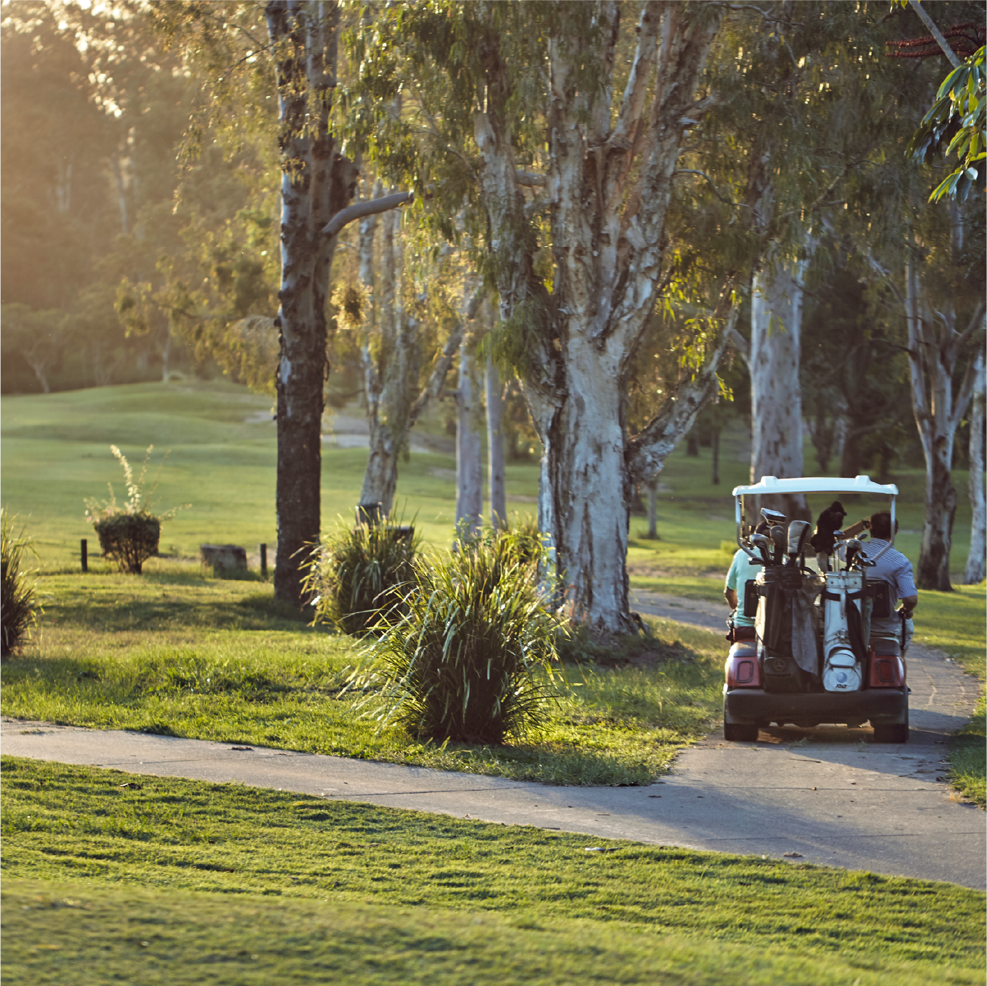 Thrive in Oxley with nearby sporting fields, shops, and culture.