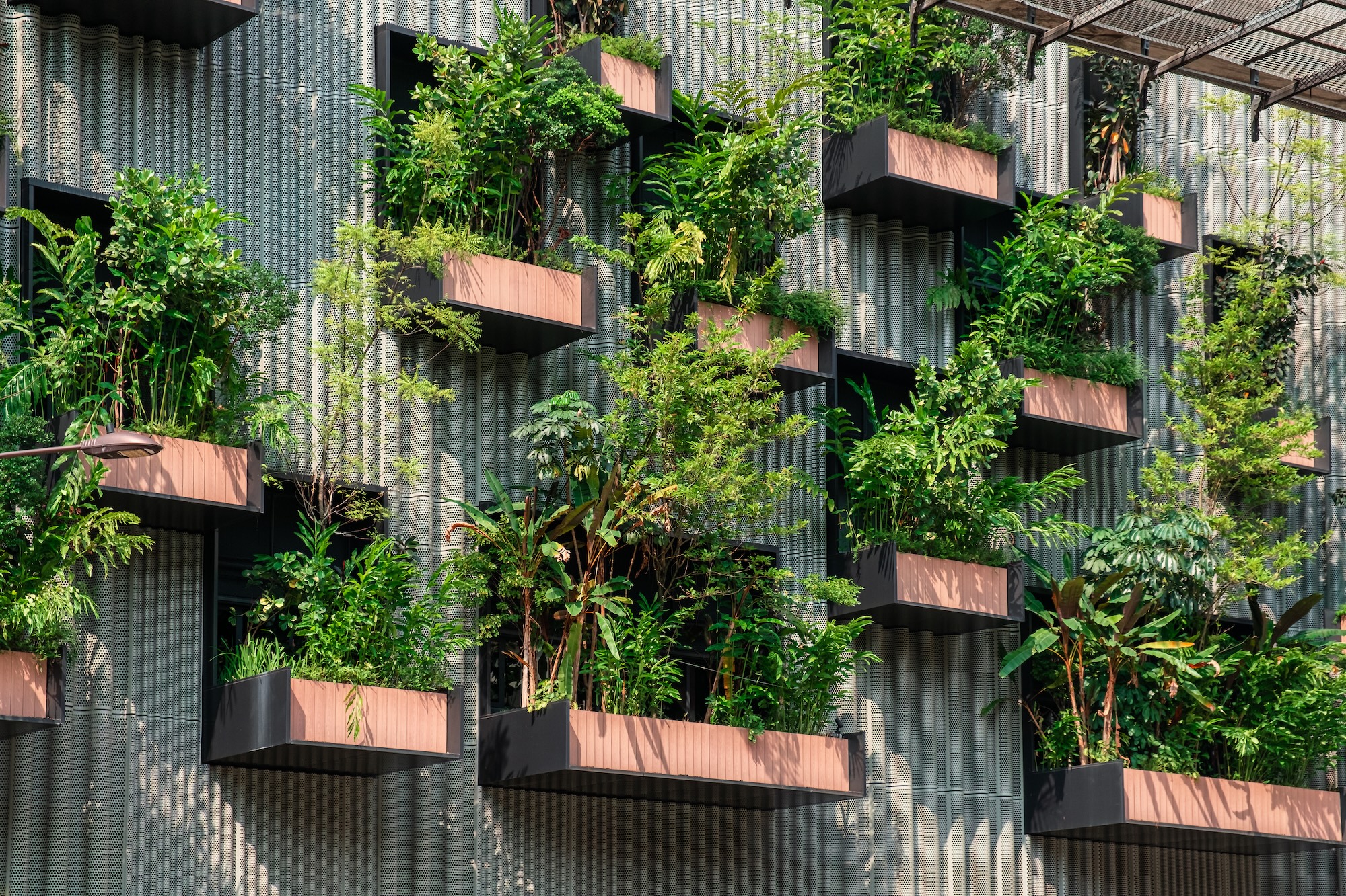 Sustainability