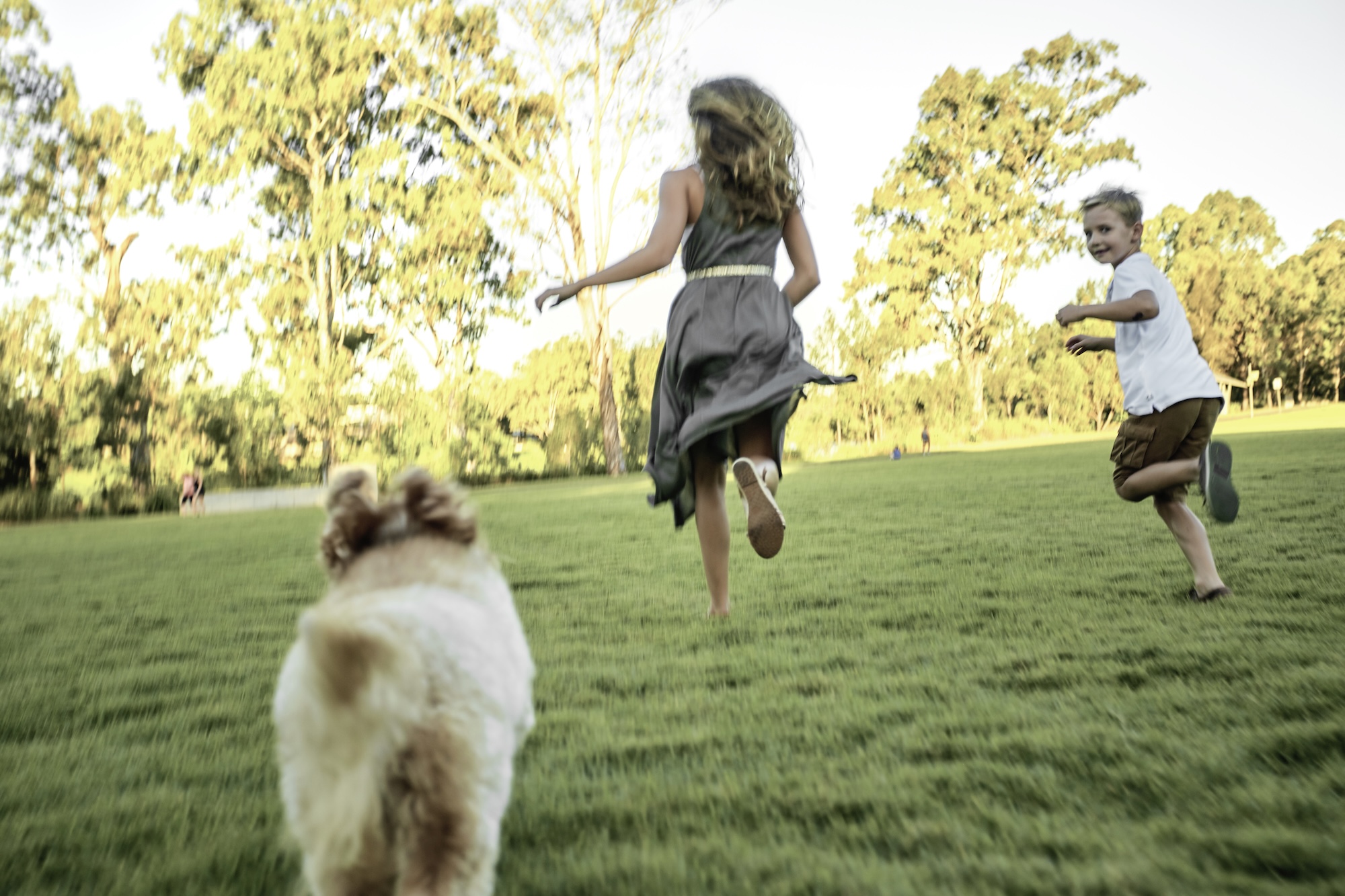 Family Matters Here at Arabella